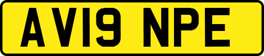 AV19NPE