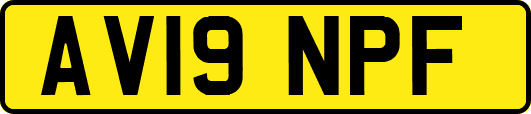 AV19NPF