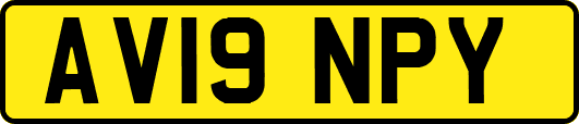 AV19NPY