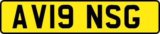 AV19NSG