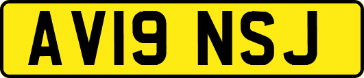 AV19NSJ