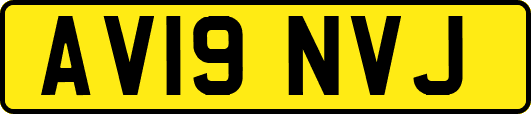 AV19NVJ