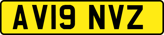 AV19NVZ