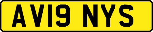 AV19NYS
