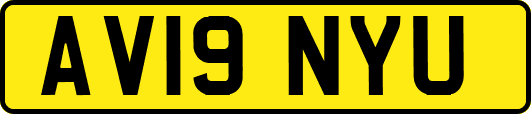 AV19NYU
