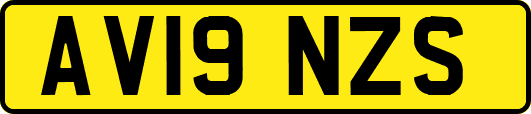 AV19NZS