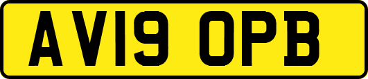 AV19OPB