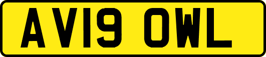 AV19OWL