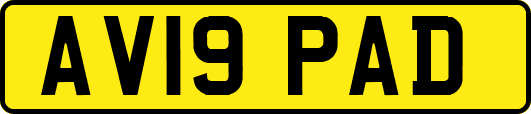 AV19PAD