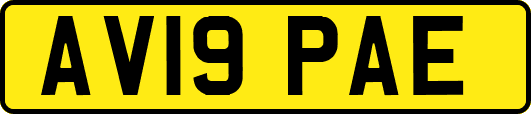 AV19PAE