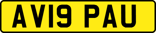 AV19PAU