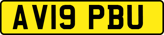 AV19PBU