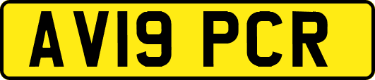AV19PCR