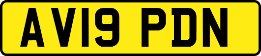 AV19PDN