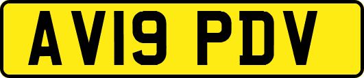 AV19PDV