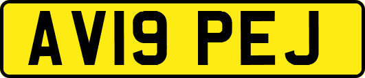 AV19PEJ