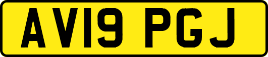 AV19PGJ