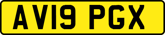 AV19PGX