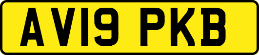 AV19PKB