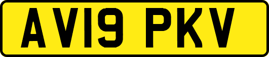 AV19PKV