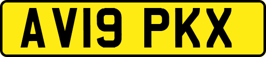 AV19PKX