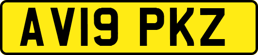 AV19PKZ