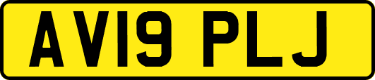 AV19PLJ