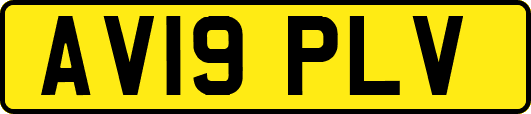 AV19PLV