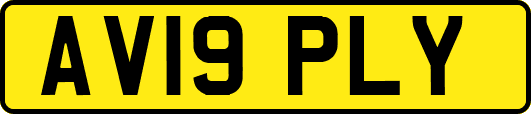 AV19PLY