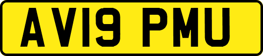AV19PMU