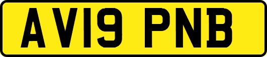 AV19PNB