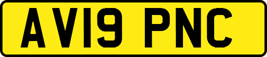 AV19PNC
