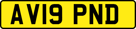 AV19PND