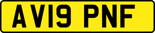 AV19PNF