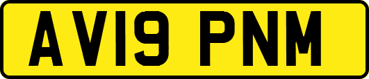 AV19PNM