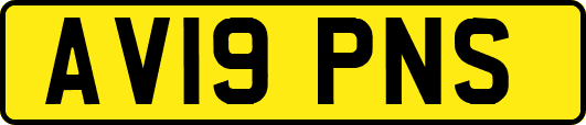AV19PNS