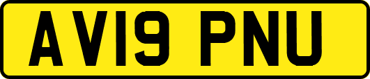 AV19PNU