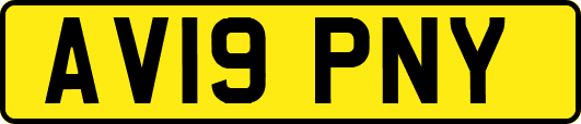 AV19PNY