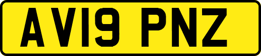 AV19PNZ