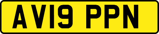 AV19PPN