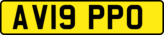 AV19PPO