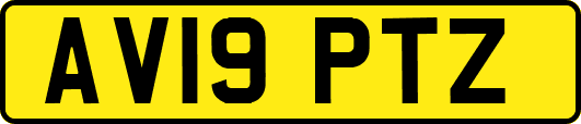 AV19PTZ