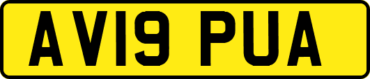 AV19PUA