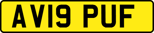 AV19PUF