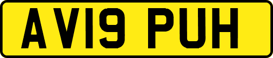 AV19PUH