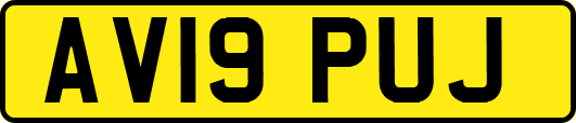 AV19PUJ