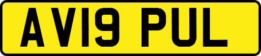 AV19PUL