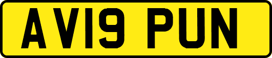 AV19PUN
