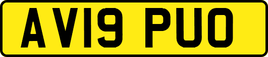 AV19PUO
