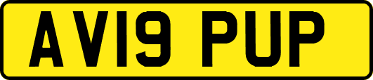 AV19PUP